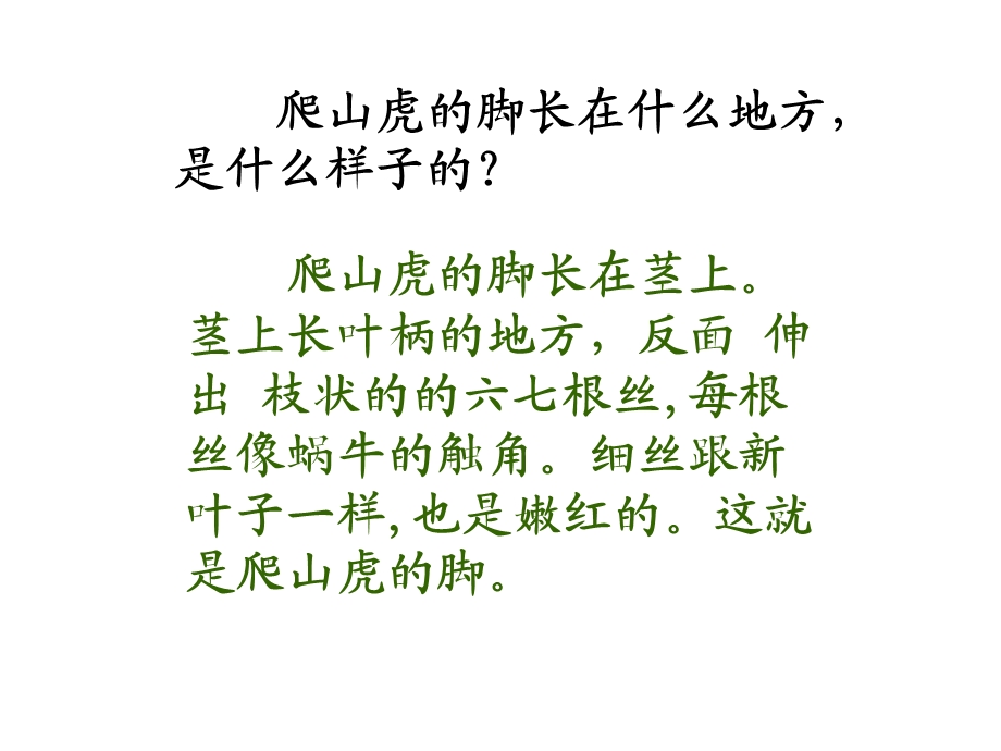 爬山虎的脚第二课时ppt.ppt_第3页