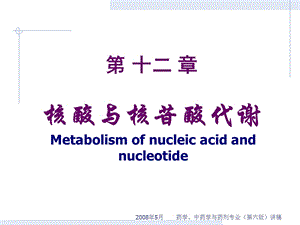 药学-第12节-核苷酸.ppt