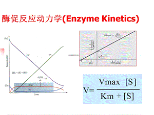 酶动力学课件1财富值.ppt