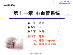 脉管系统-静脉、淋巴ppt课件.ppt