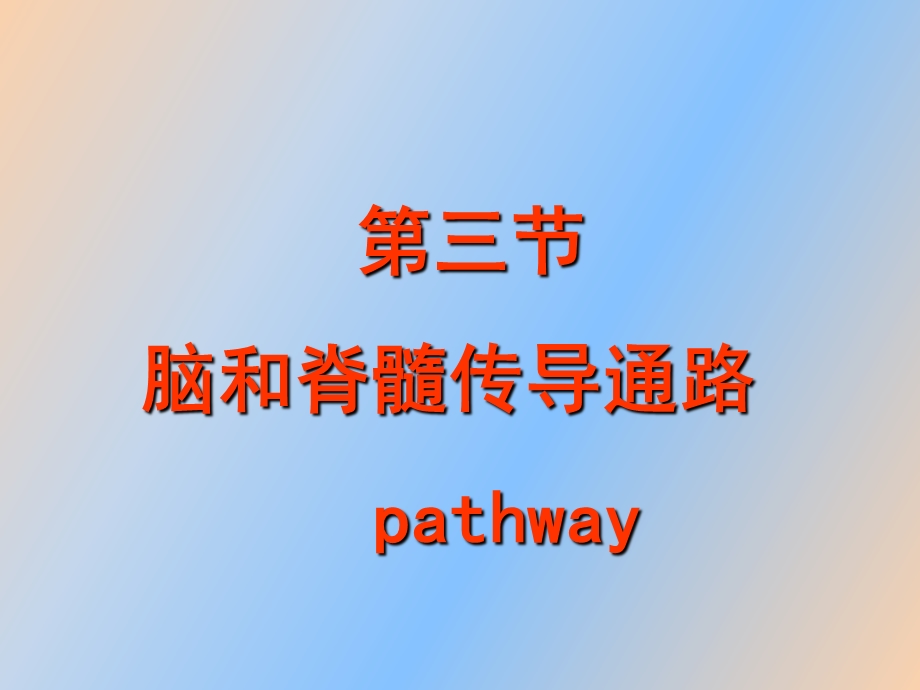 脑和脊髓传导通路.ppt_第1页