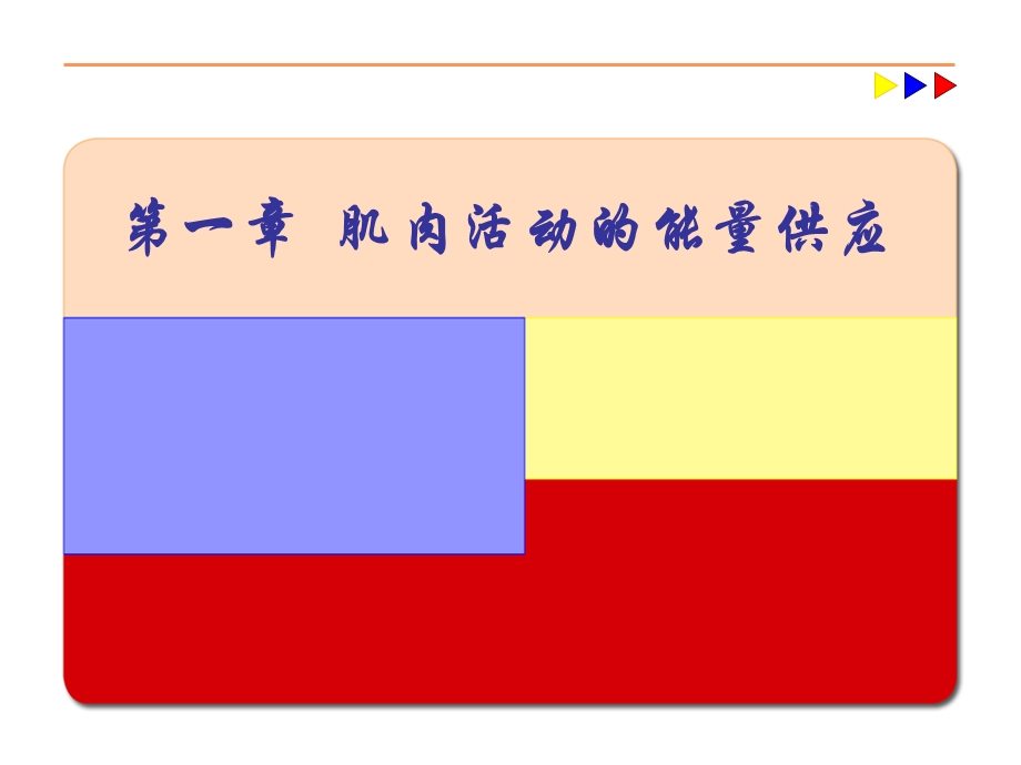 肌肉活动能量供应.ppt_第1页