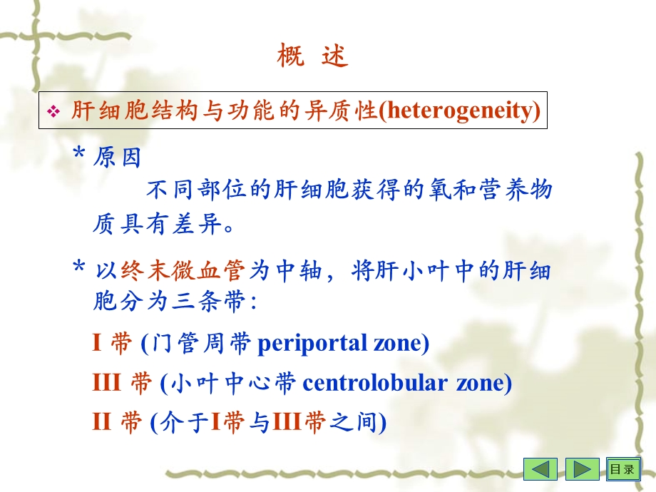 沈阳药科大学生物化学课件-第17章肝脏生化.ppt_第2页