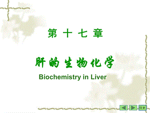 沈阳药科大学生物化学课件-第17章肝脏生化.ppt