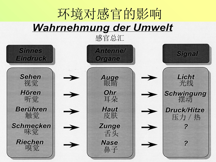 葡萄酒的感官品评.ppt_第2页