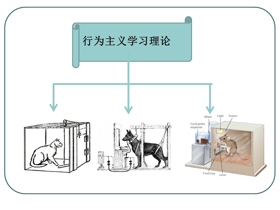 行为主义学习理论认知主义学习理论.ppt_第2页