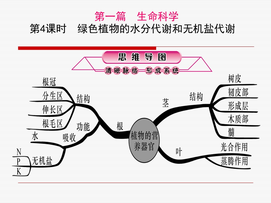 绿色植物的水分代谢和无机盐代谢.ppt_第1页