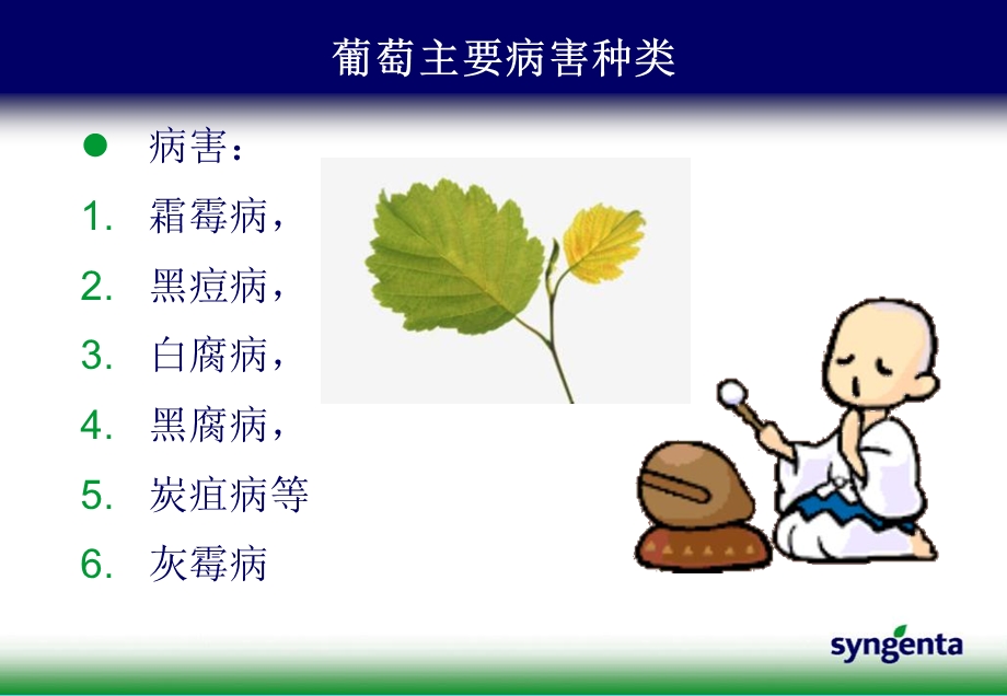 葡萄病虫害防治方案Optimiz.ppt_第2页