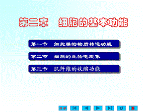 生理学课件-细胞的基本功能ppt.ppt