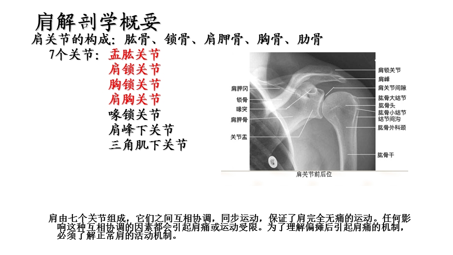 浅谈偏瘫并发症“肩痛”治疗.ppt_第3页