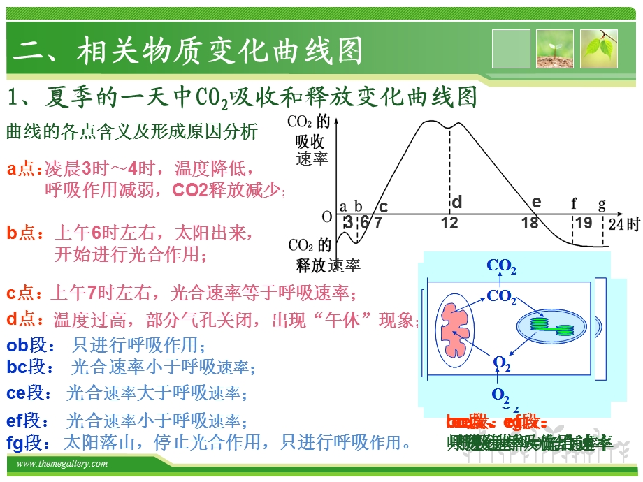 海南侨中蔡英祥.ppt_第3页