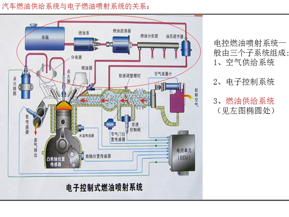 汽车燃油供给系统简介-TYP课件.ppt_第3页