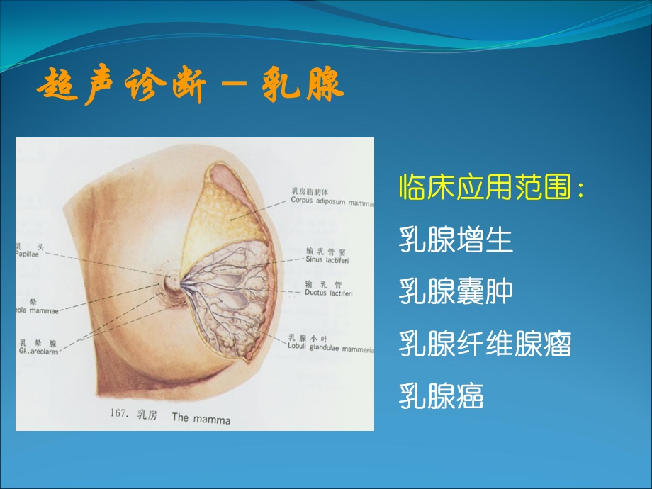 浅表器官的超声诊断.ppt_第3页