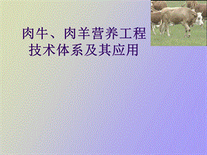 肉羊营养工程.ppt