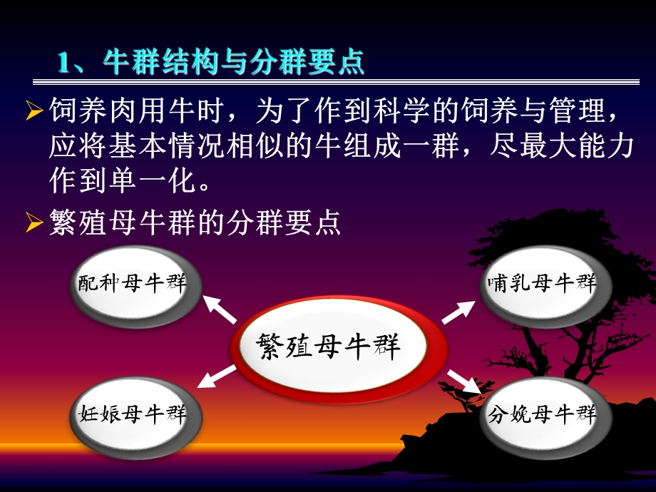 肉牛饲养与管理更新版.ppt_第3页