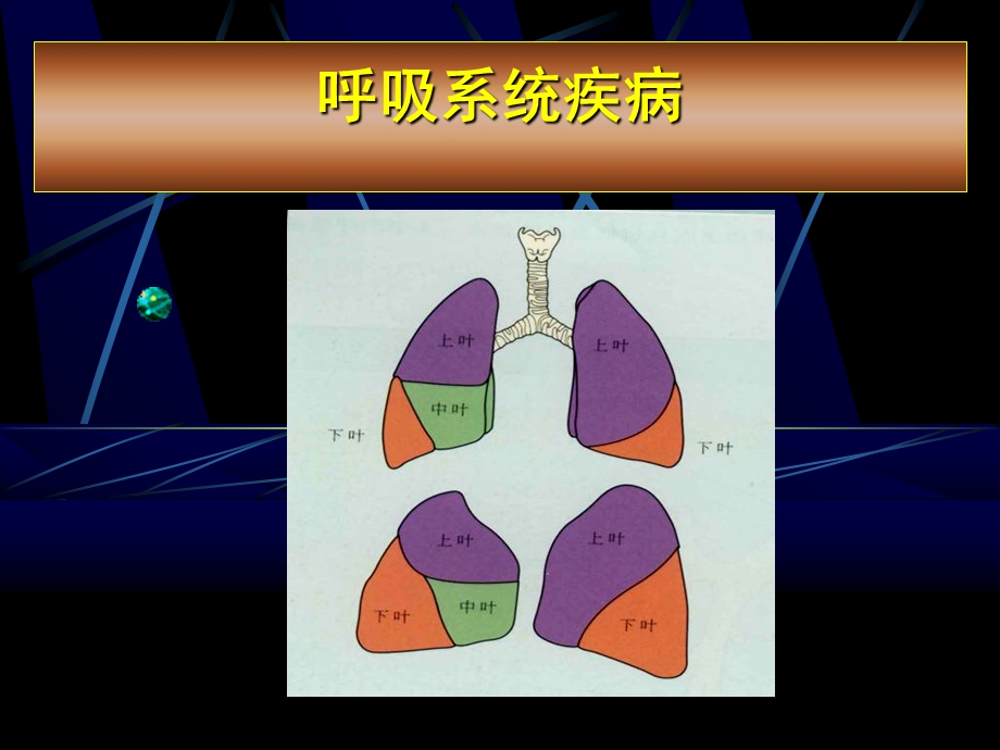 浅谈呼吸系统疾病诊治用.ppt_第1页