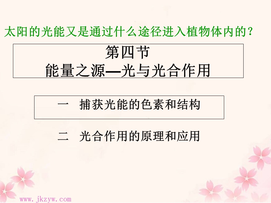 能量之源-光与光合作用-公开课.ppt_第2页