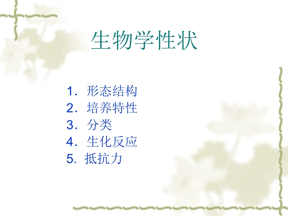 溶血性链球菌讲义.ppt_第3页