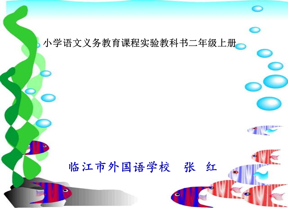 浅水洼的小鱼张红.ppt_第3页