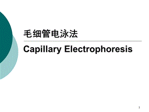 秋季福建-04毛细管电泳法.ppt