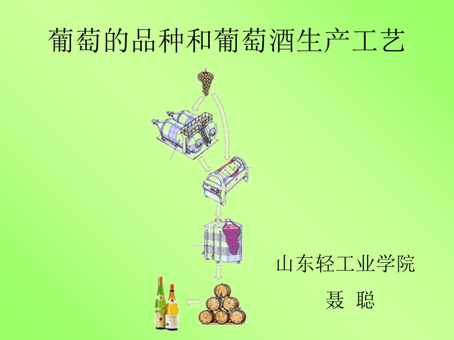 葡萄的品种和葡萄酒生产工艺.ppt_第1页