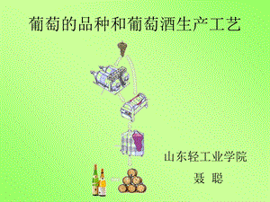 葡萄的品种和葡萄酒生产工艺.ppt