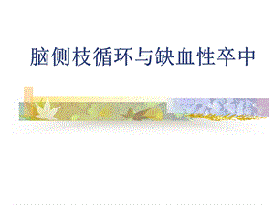 脑缺血侧枝循环治疗公司.ppt