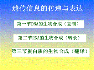 软件仓库-遗传信息的传递与表达.ppt