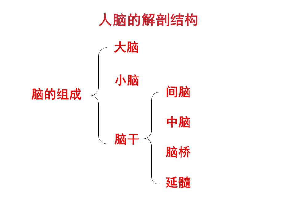 脑血管疾病诊断与治疗.ppt_第3页