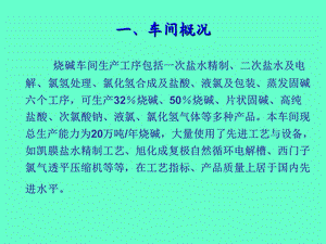 氯碱行业烧碱工艺.ppt