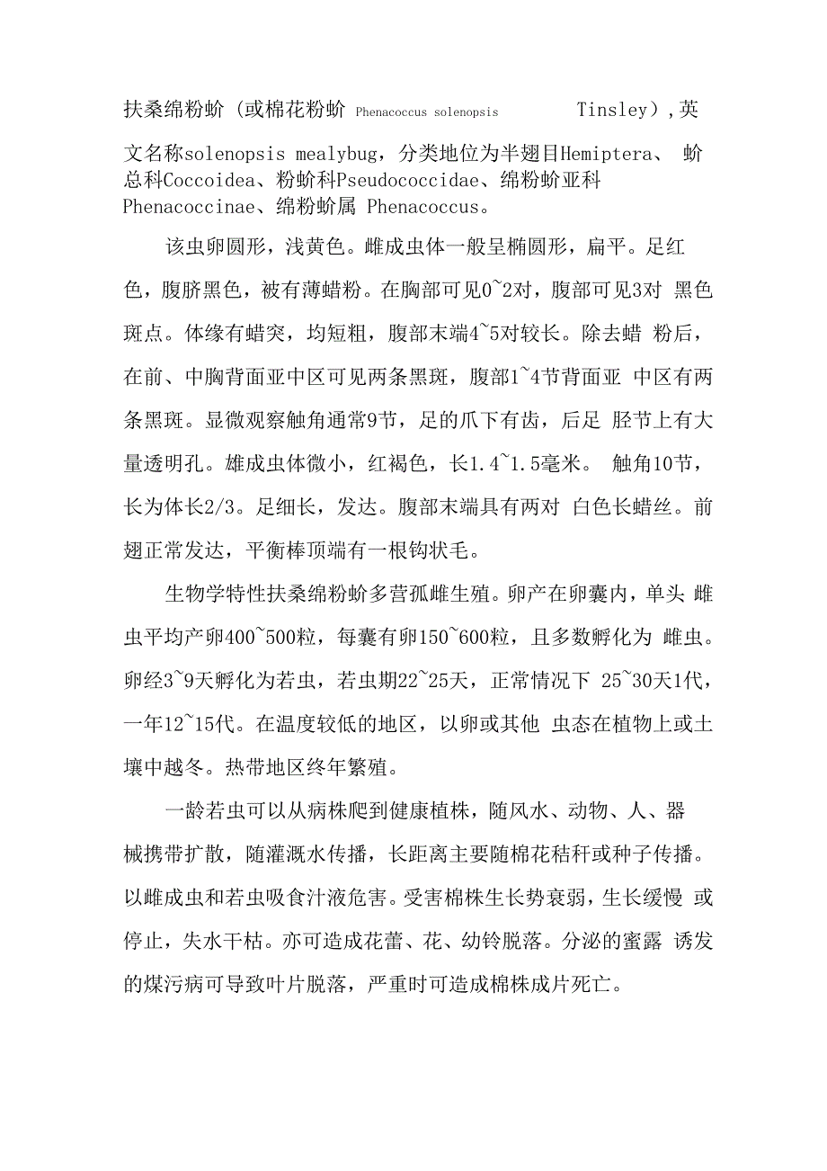 扶桑绵粉蚧学名Phenacoccus.docx_第1页