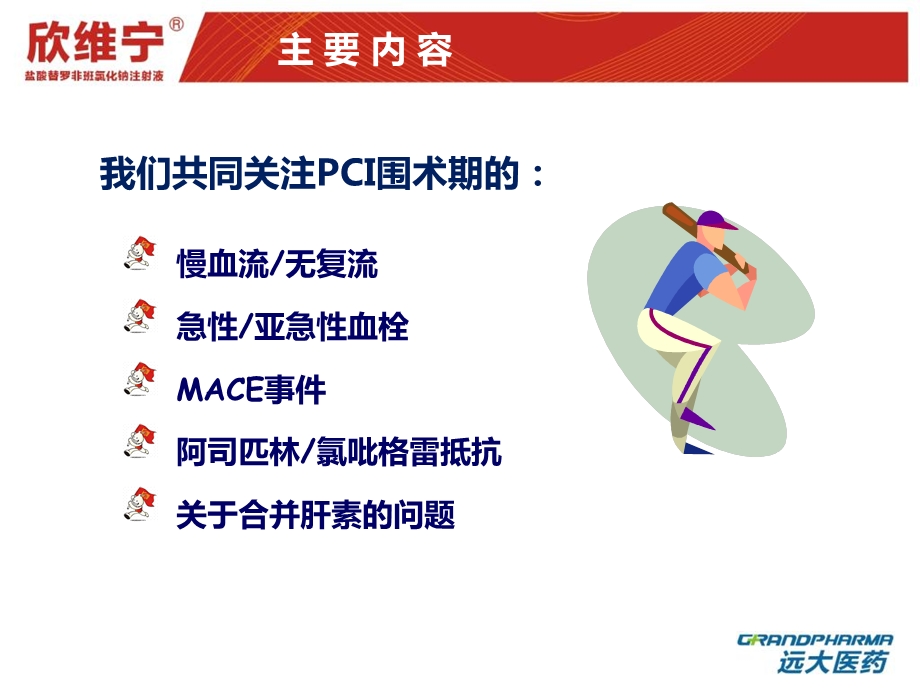 欣维宁保架护航篇.ppt_第3页