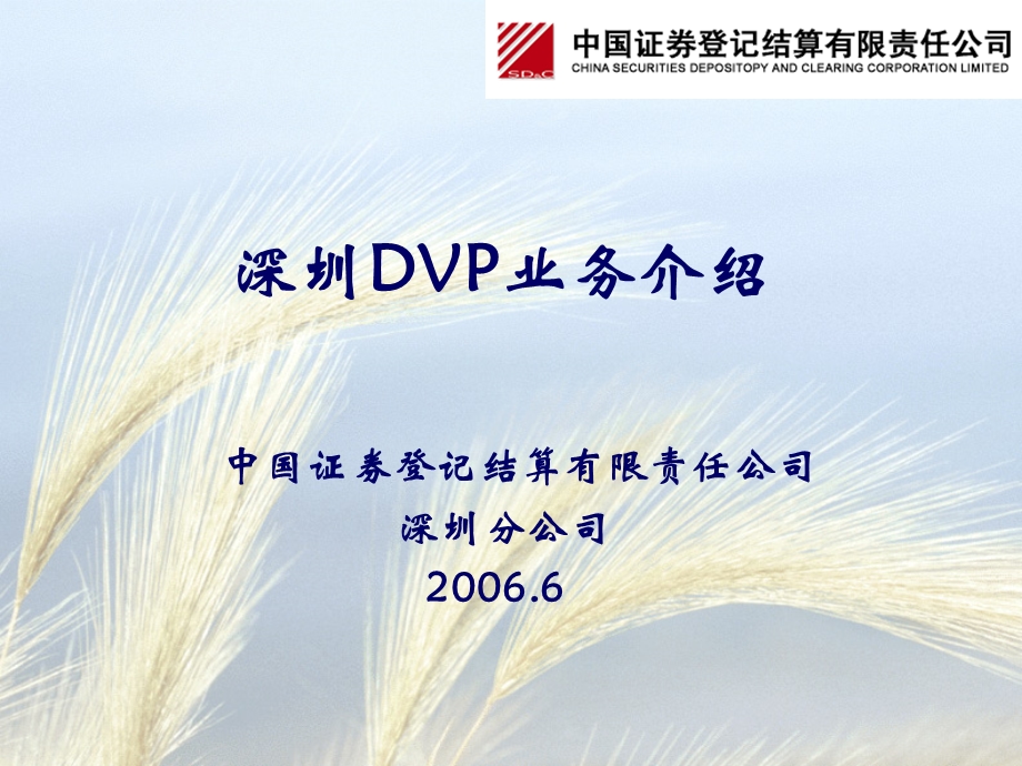 深圳DVP业务介绍.ppt_第1页