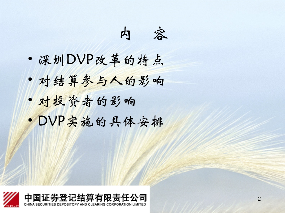 深圳DVP业务介绍.ppt_第2页