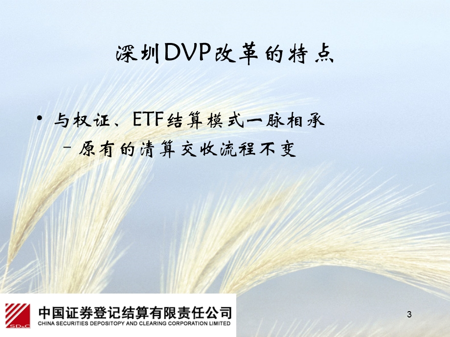 深圳DVP业务介绍.ppt_第3页