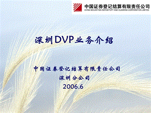 深圳DVP业务介绍.ppt