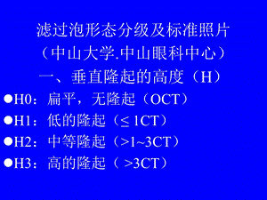 青光眼术后滤过泡形态分级及标准照.PPT