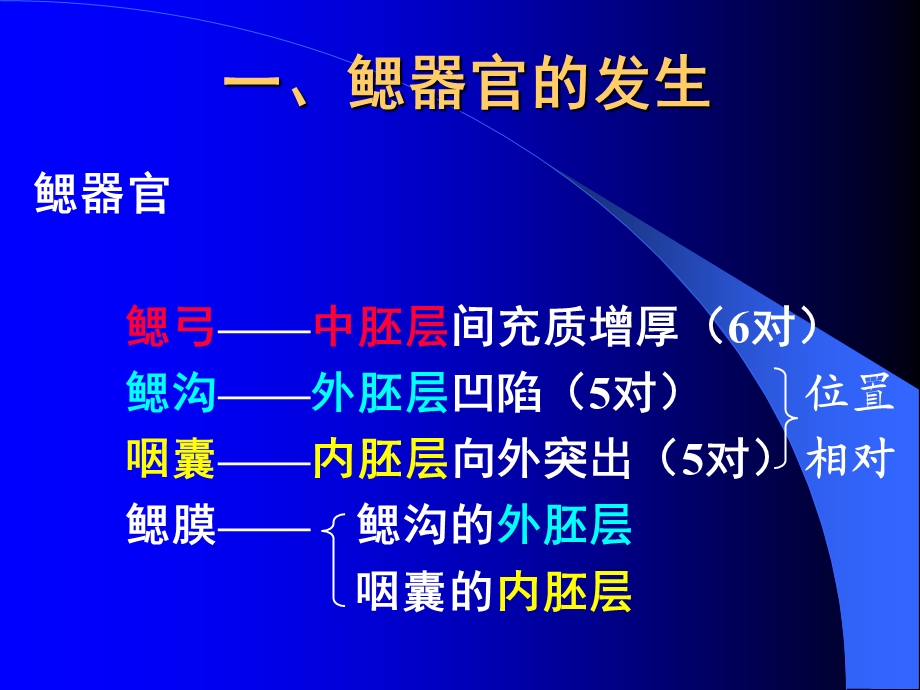 颜、消、泌生的发生.ppt_第2页