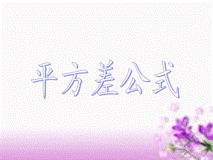 平方差公式课件.ppt.ppt