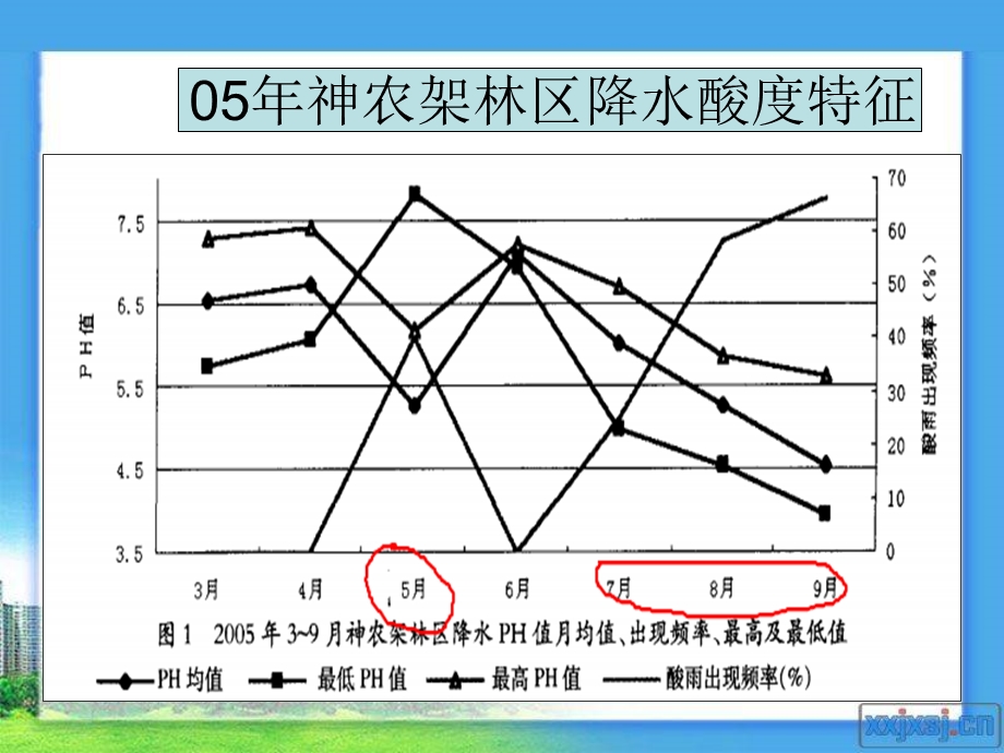 模拟酸雨胁迫下珙.ppt_第3页