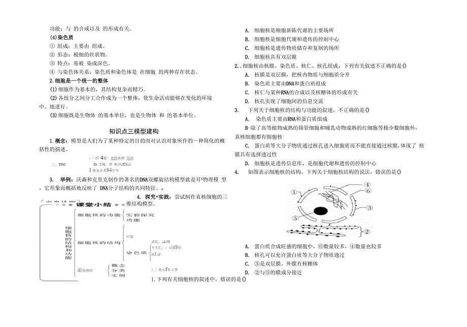 新教材优质课《细胞核的结构和功能》导学案.docx_第3页