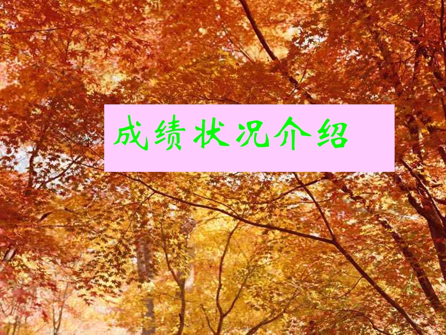 期中成绩分析会课件-主题班会.ppt_第3页