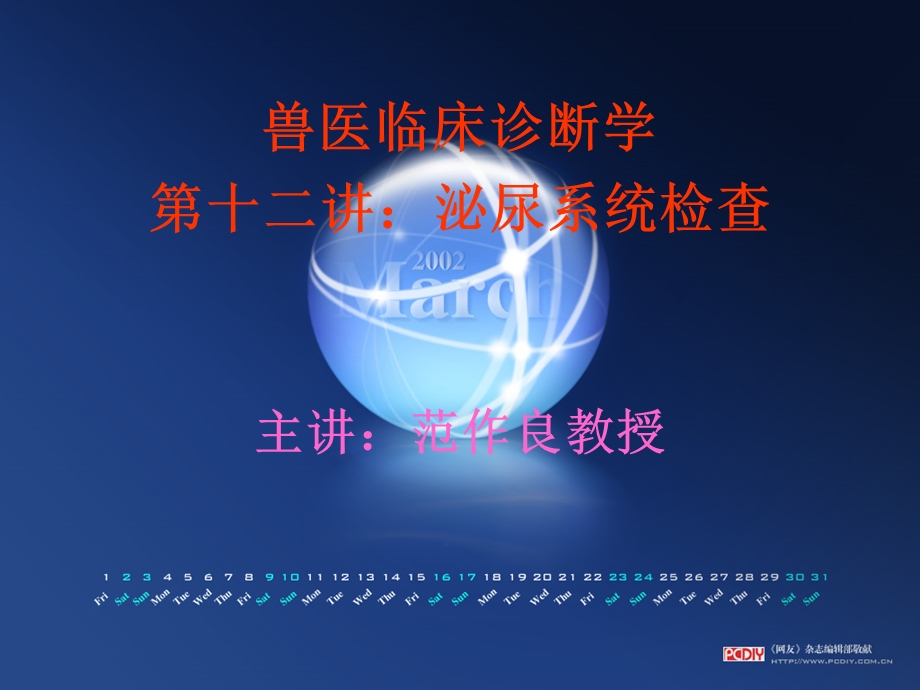 泌尿生殖系统检查.ppt_第1页