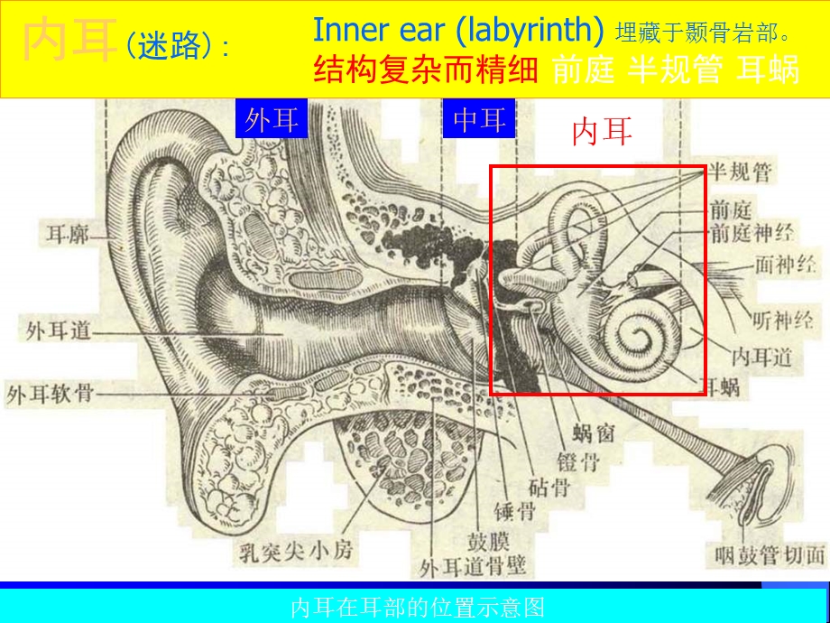 梅尼埃病-meniere.ppt_第3页