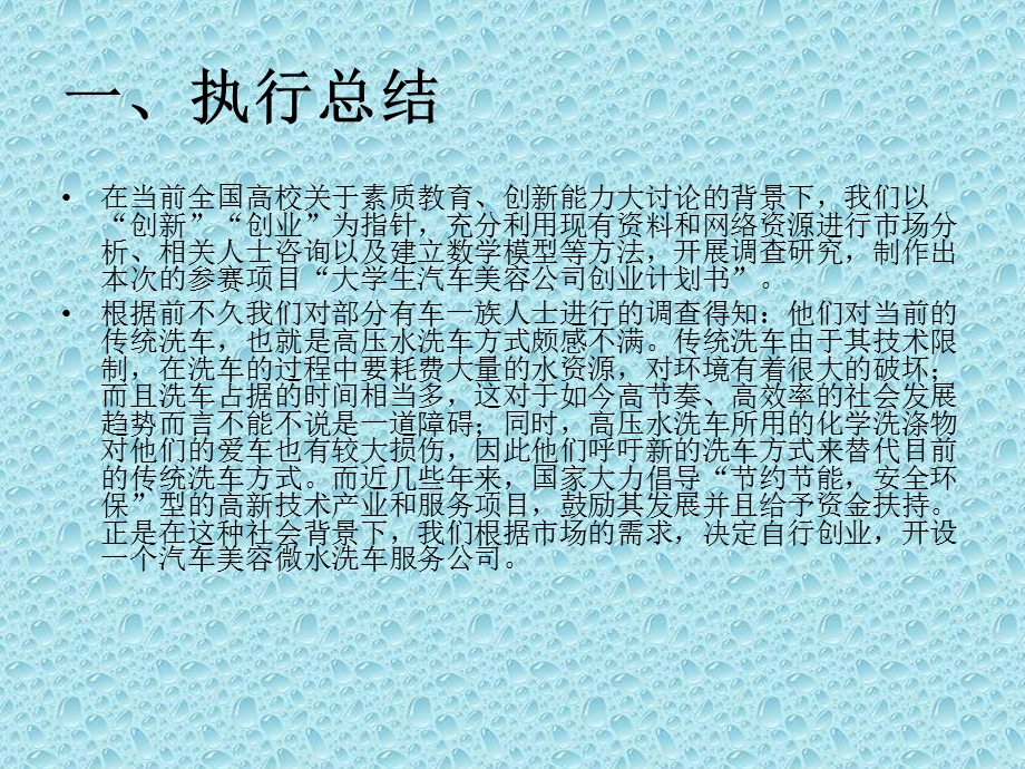 汽车美容公司创业计划书.ppt_第3页