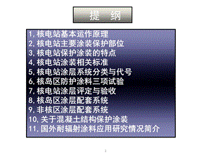 核电站工程涂装.ppt