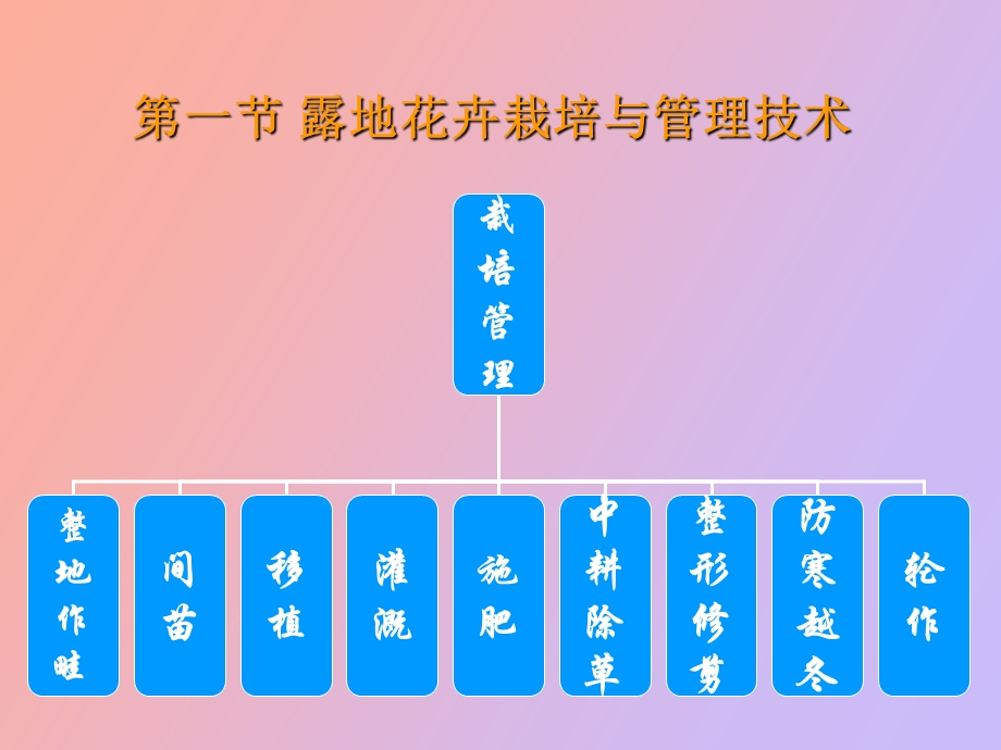 露地花卉栽培.ppt_第3页