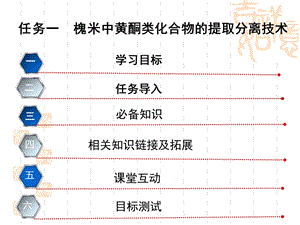 黄酮实例和苷类.ppt