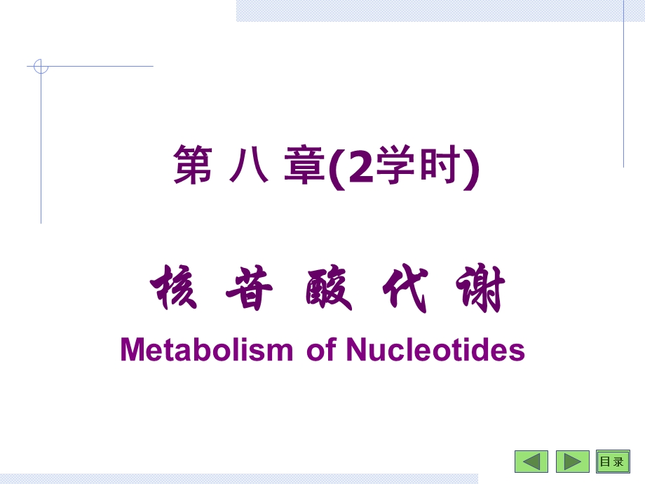 核苷酸生物化学.ppt_第1页