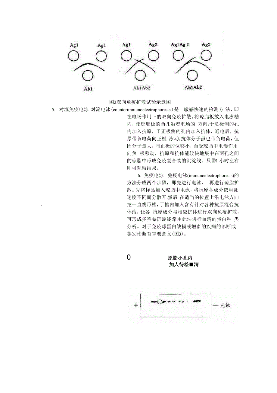 抗原或抗体的检测.docx_第3页